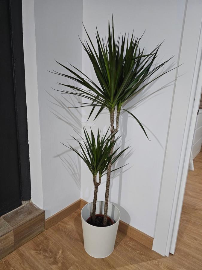 Permar Plz Apartment Barcelona Bagian luar foto